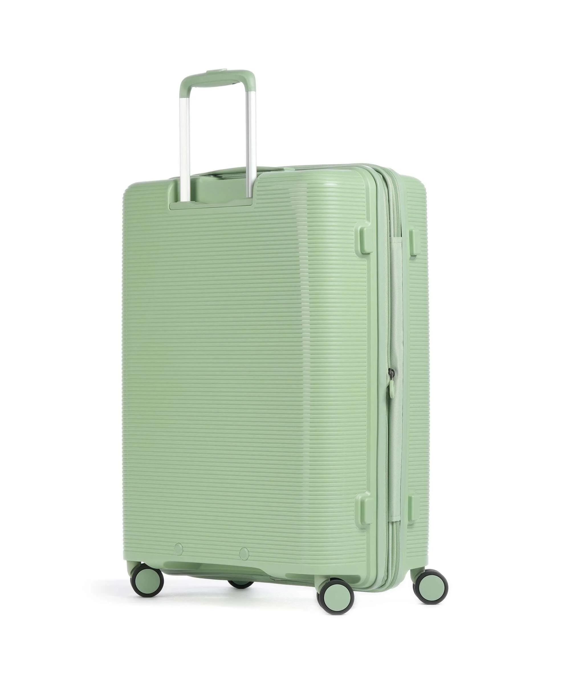 Echolac Forza M Trolley (4 wielen) reef green - Image 2