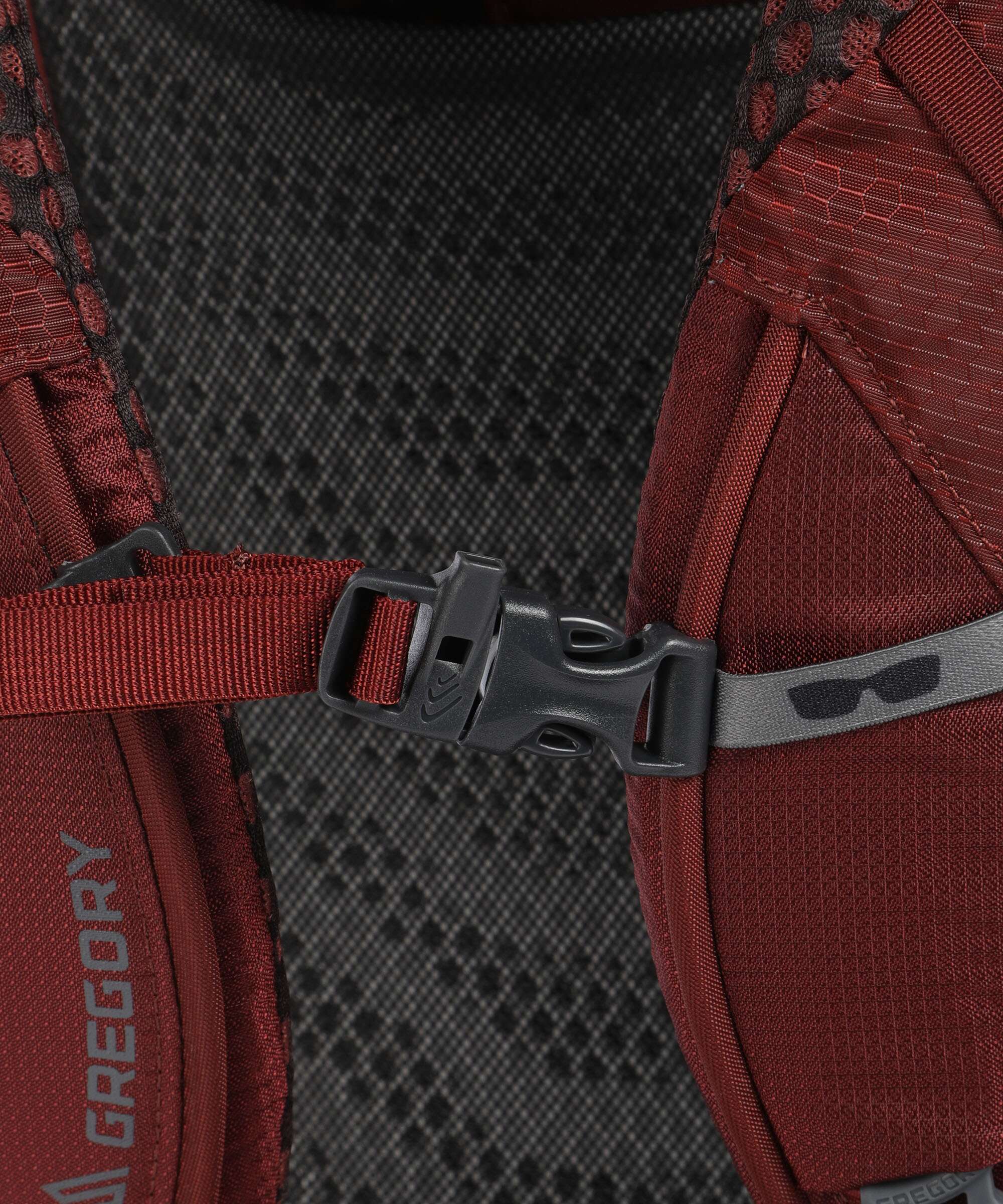 Gregory Baltoro 65 RC LG Trekking rugzak brick red - Image 3