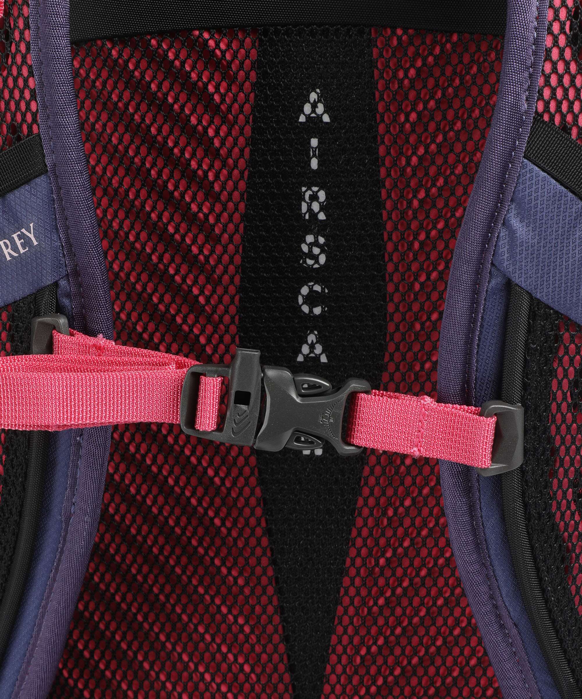 Osprey Sportlite 30 S/M Wandelrugzak alkaline/hotspot pink - Image 3