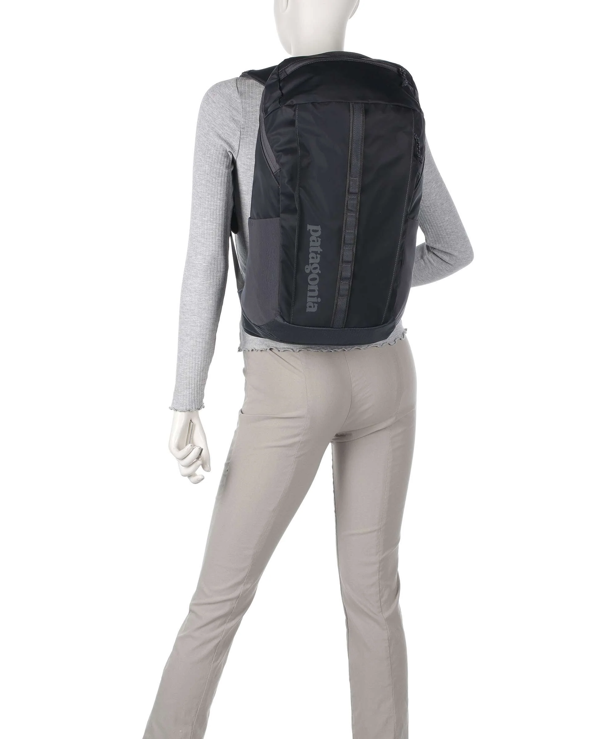 Patagonia Black Hole 25 Rugzak birch white - Image 3